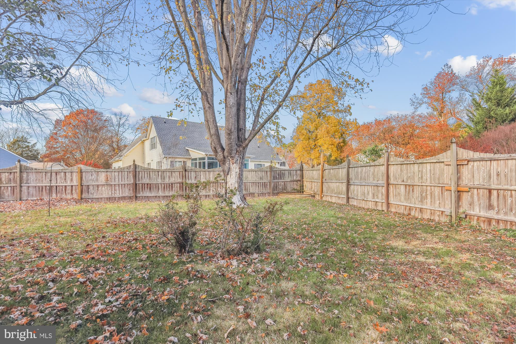 409 Seymour Ave