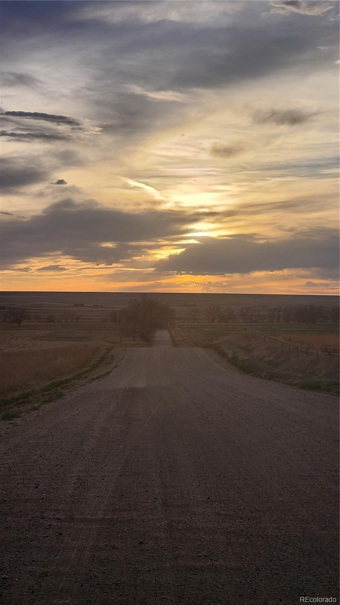 41382 Bijou View Street