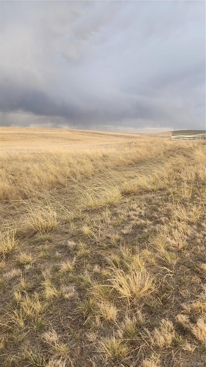 41382 Bijou View Street