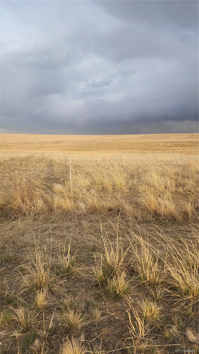 41382 Bijou View Street