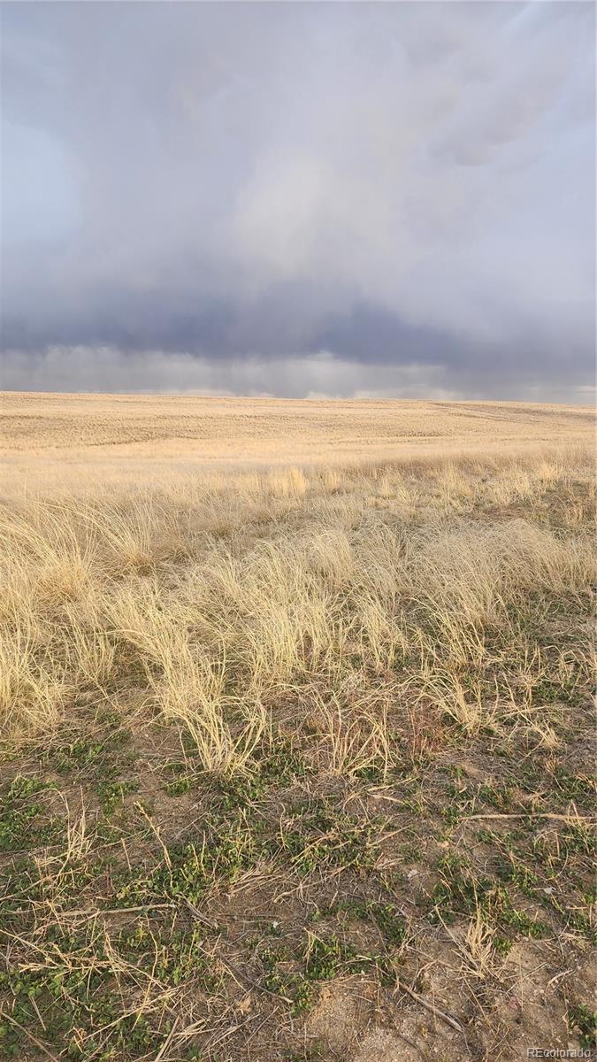 41382 Bijou View Street