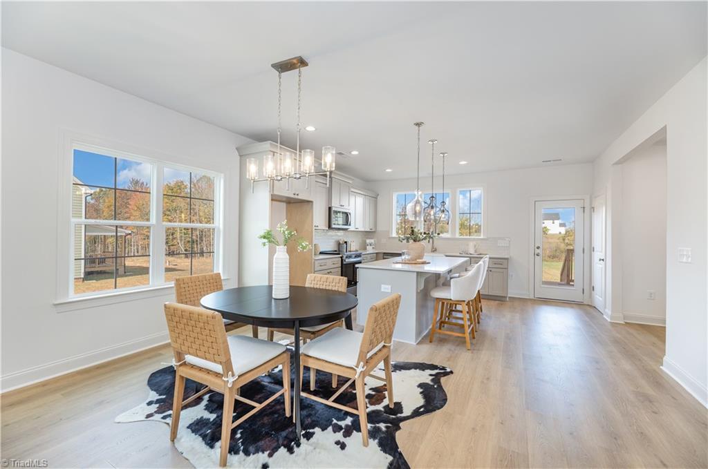 123 Rierson Farms Court