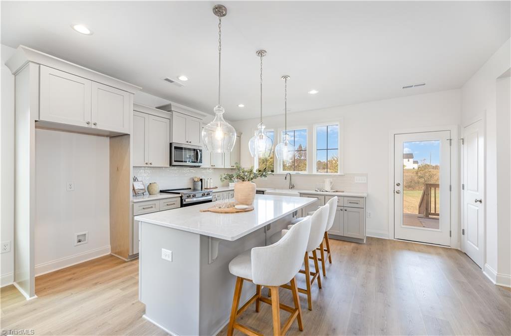 123 Rierson Farms Court