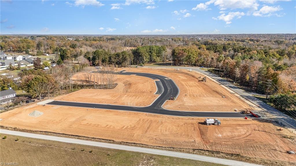 3602 Bridleton Ridge Trail