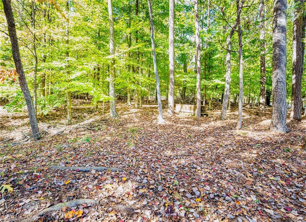 4303 Quail Canyon Court, Greensboro