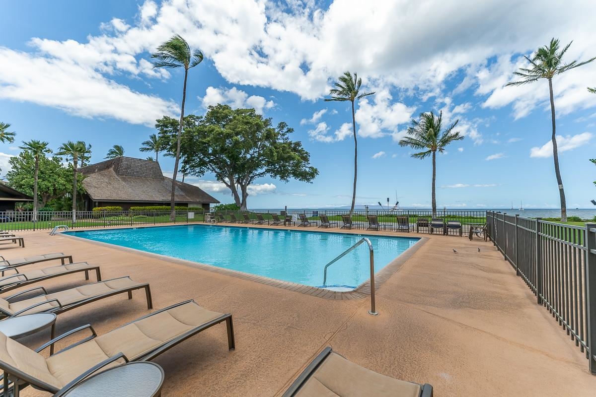 Oceanfront swimming pool with lounge chairs, palm trees, and a view of the water.