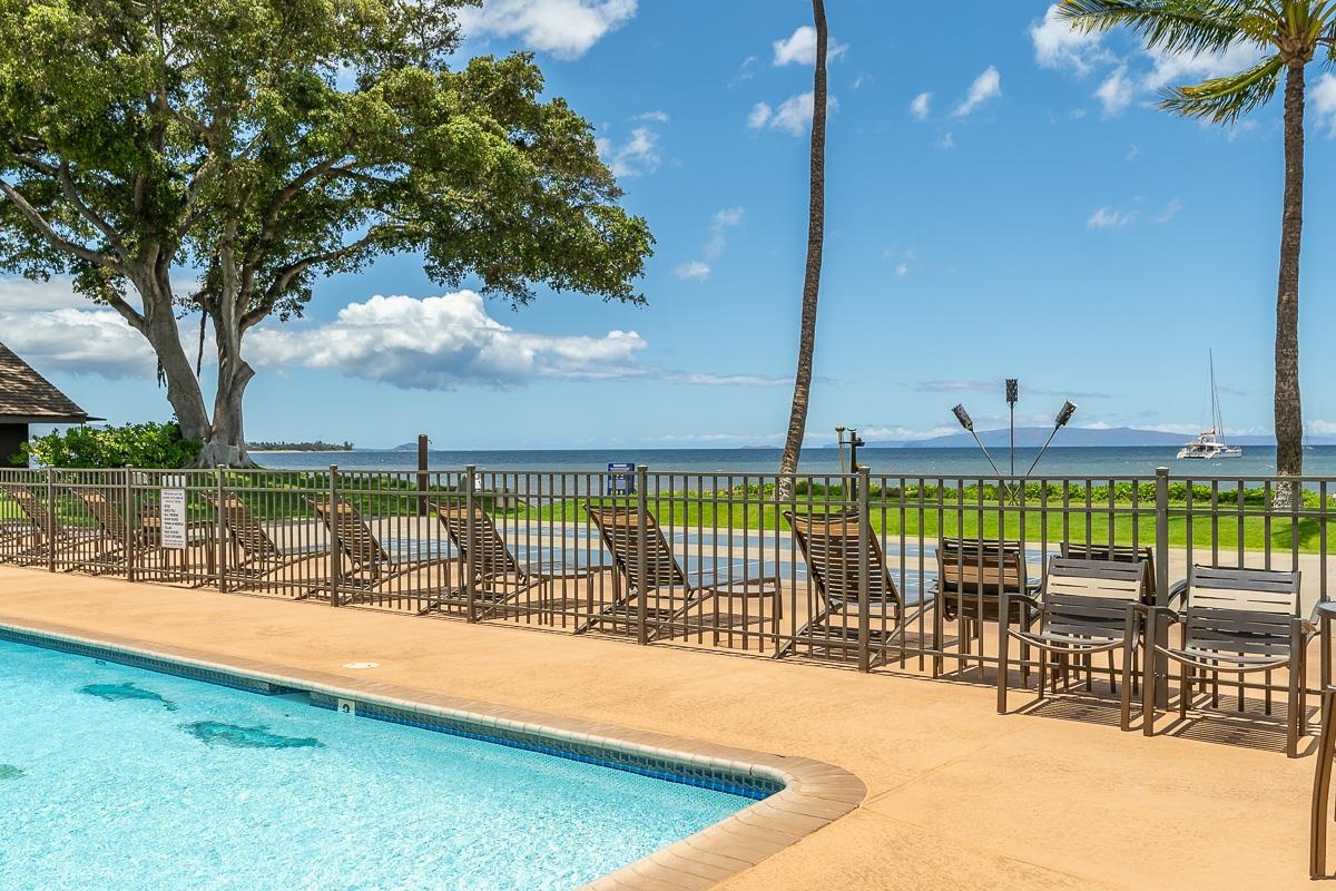 Swimming pool and oceanfront deck with lounge chairs, palm trees, and a sailboat offshore.