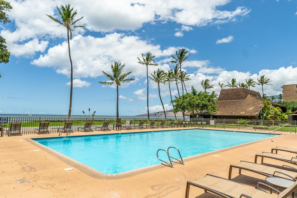 Outdoor pool with palm trees and lounge chairs, overlooking the ocean.