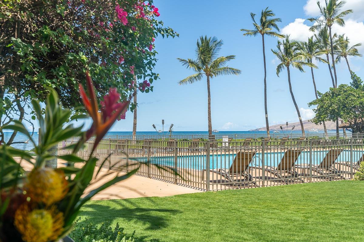 Oceanfront pool with lounge chairs, tall palms, and pink bougainvillea in the foreground.