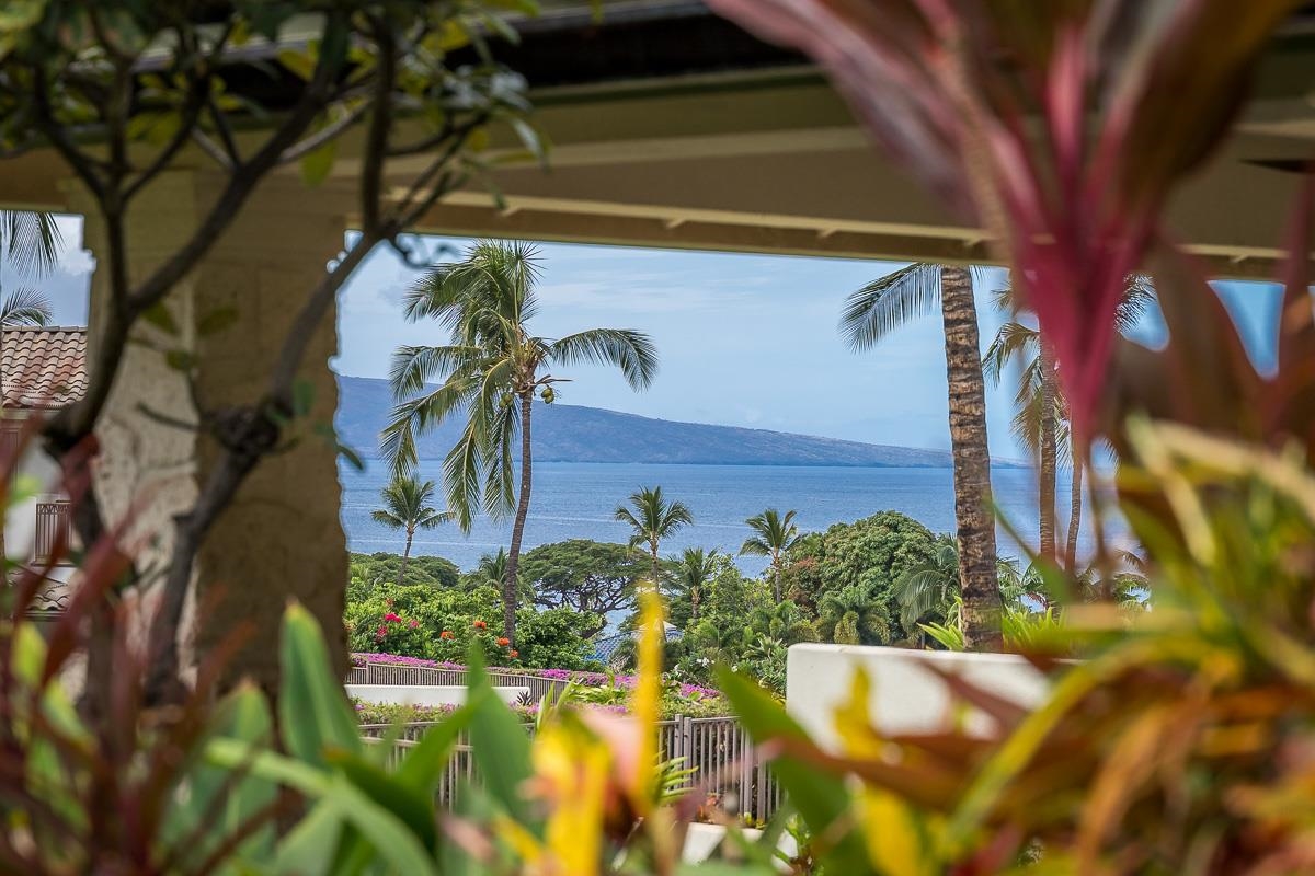 61 Kainehe Pl Unit: 61