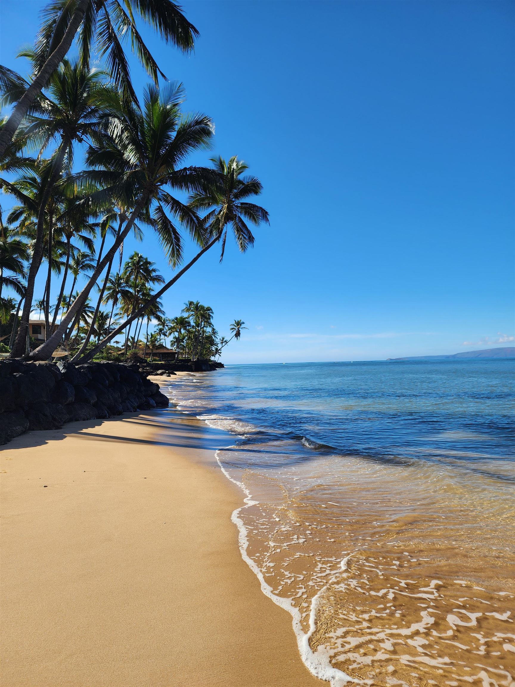 1299 ULUNIU Rd Unit: 103E