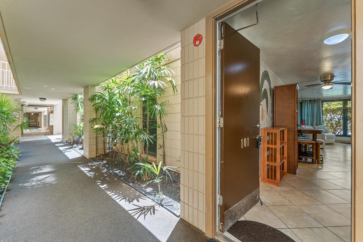 3785 Lower Honoapiilani Rd Unit: 101