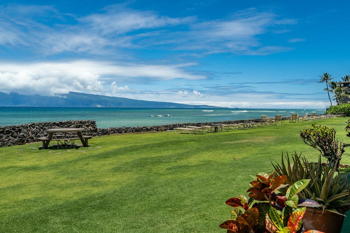 3785 Lower Honoapiilani Rd Unit: 101