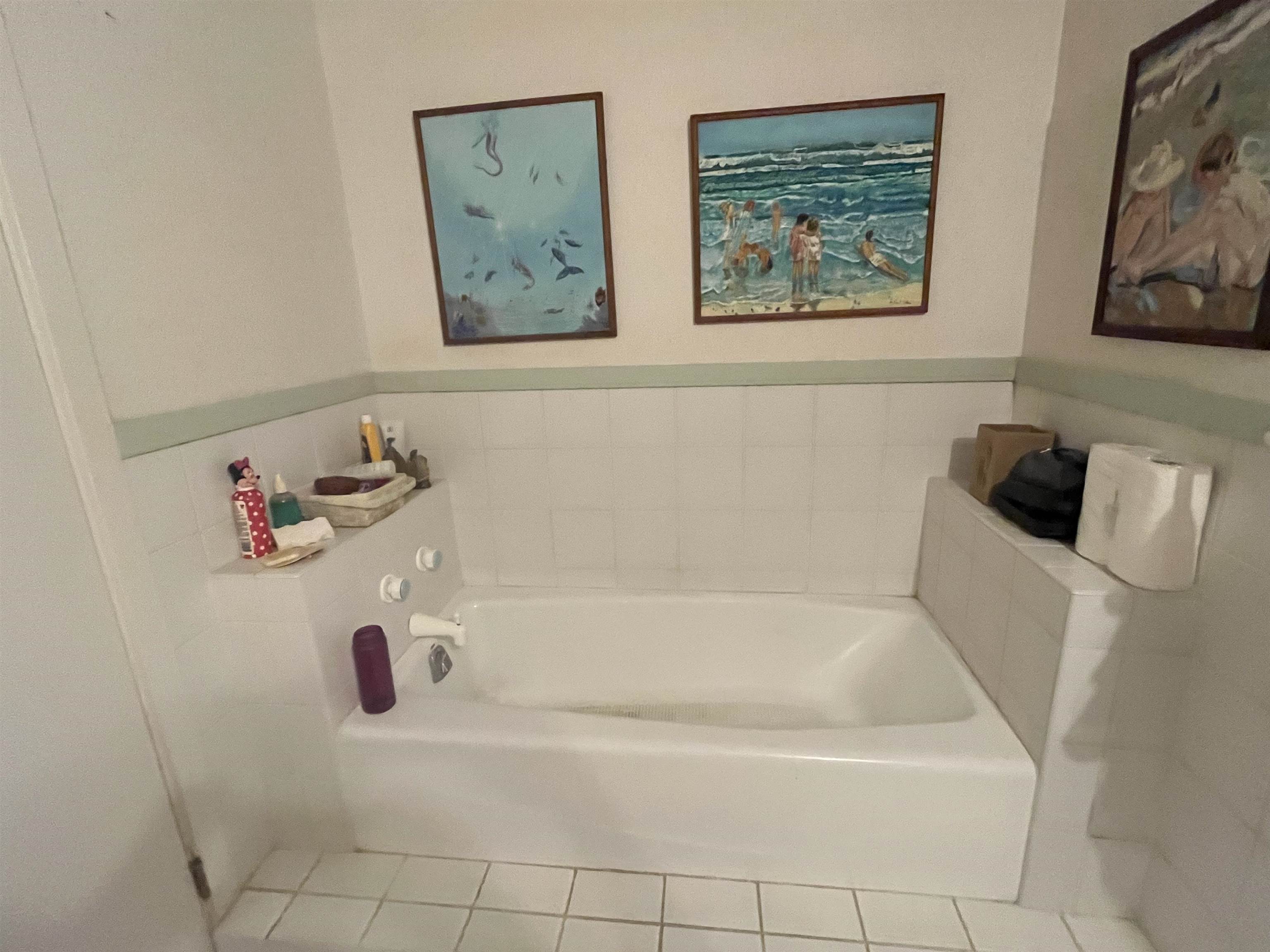 528 Kaikoo Pl