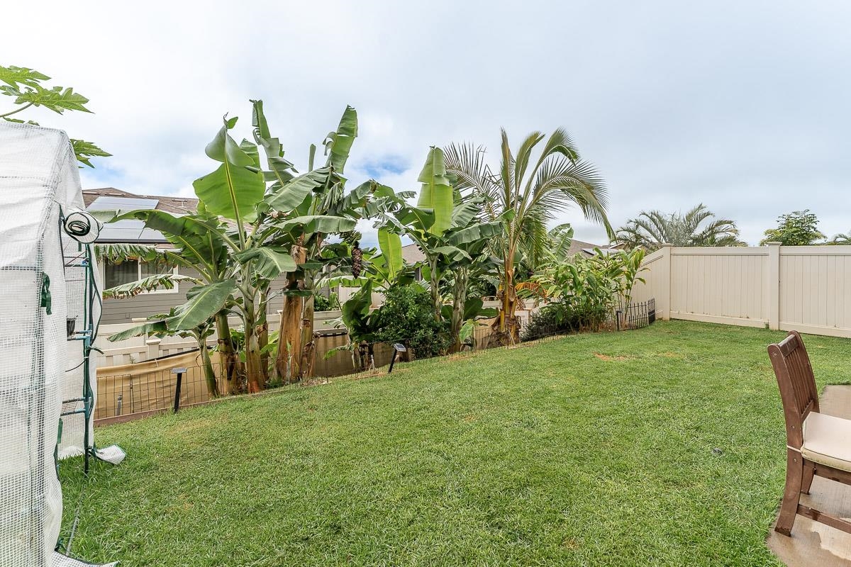 36 Kakawahie St