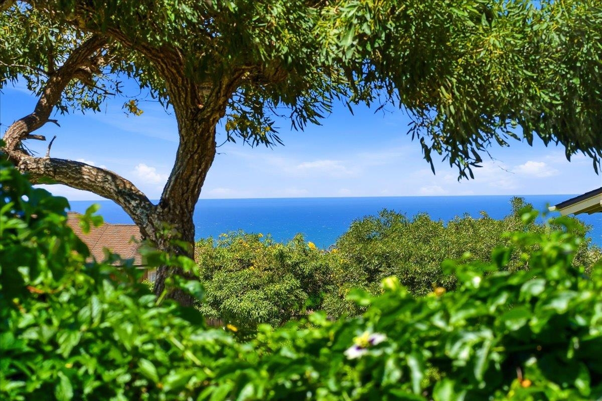 32 Kinohi Loa St