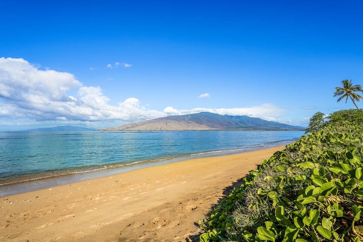 940 S Kihei Rd Unit: D305