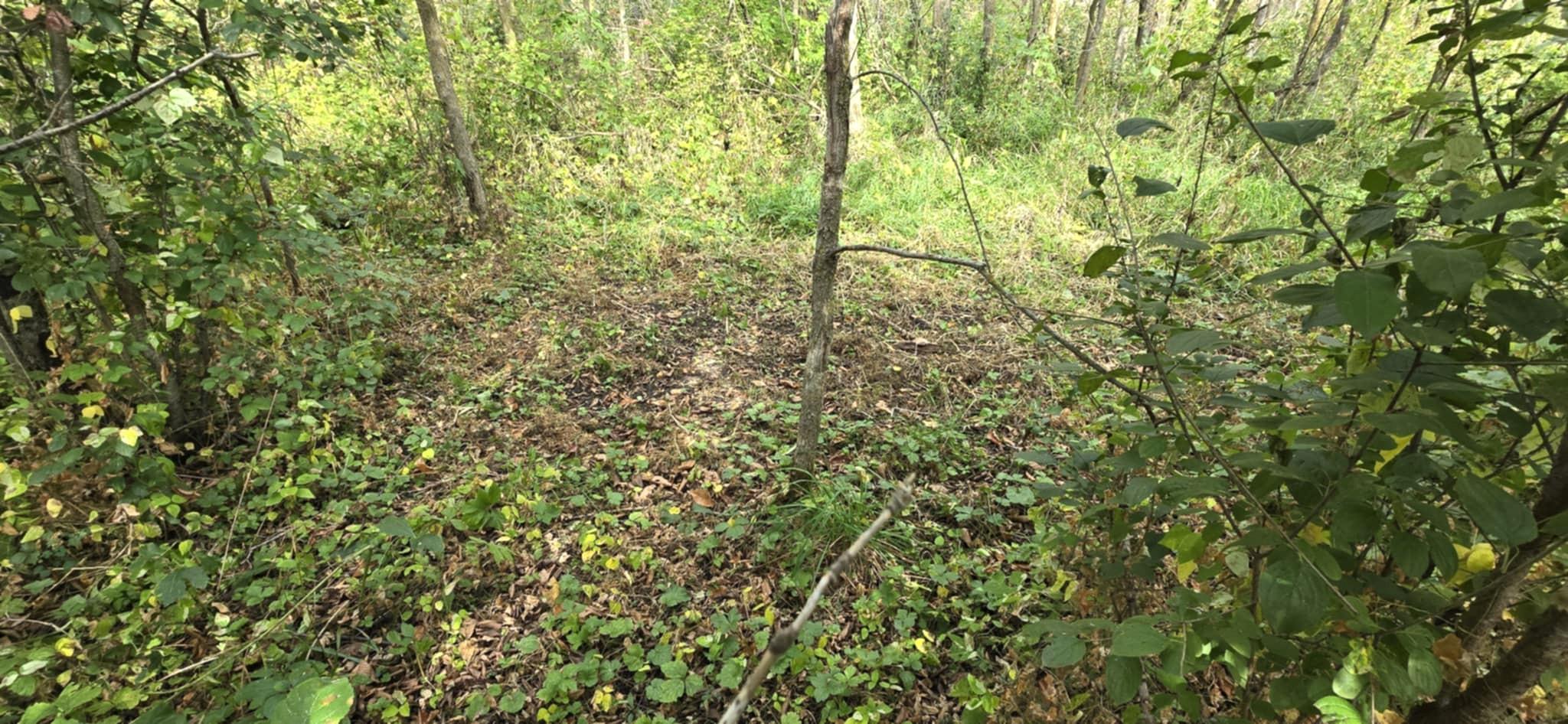 PARCEL TBD 250th Street