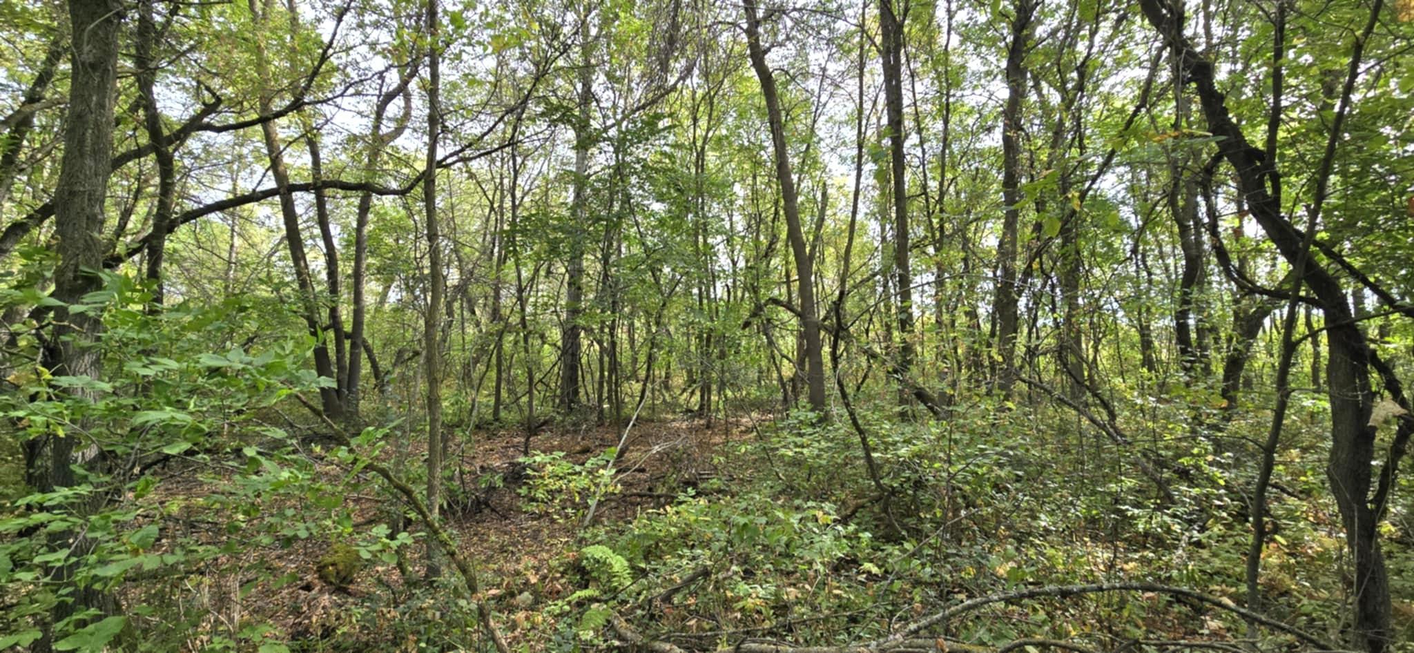 PARCEL TBD 250th Street