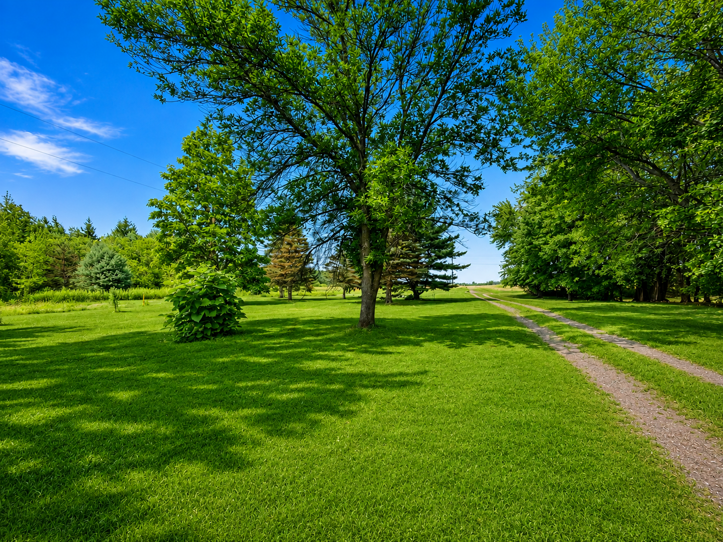 8996 Saint Croix Trail
