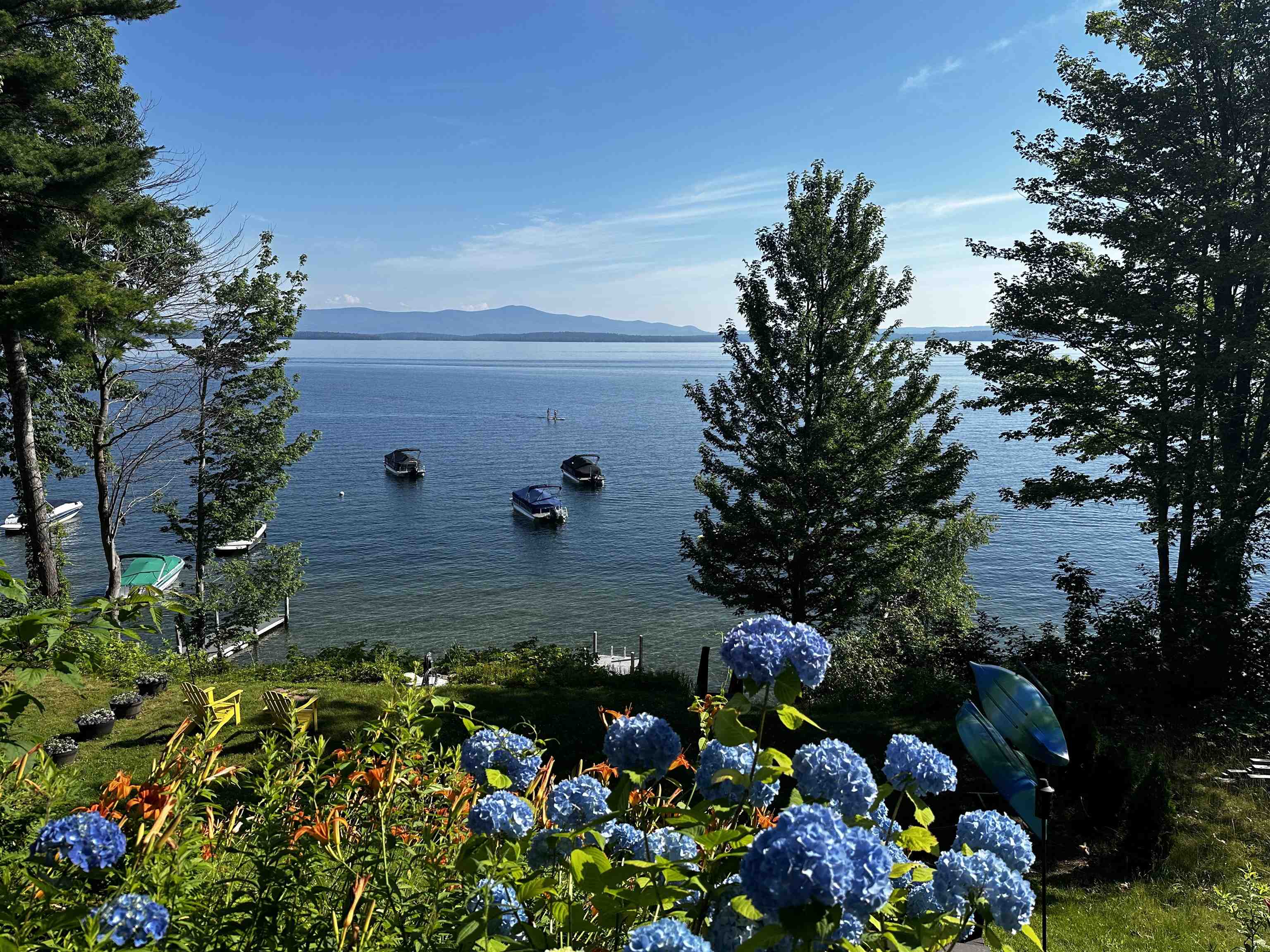 Lake view framed by blue hydrangeas and trees, with boats offshore and mountains on the horizon.