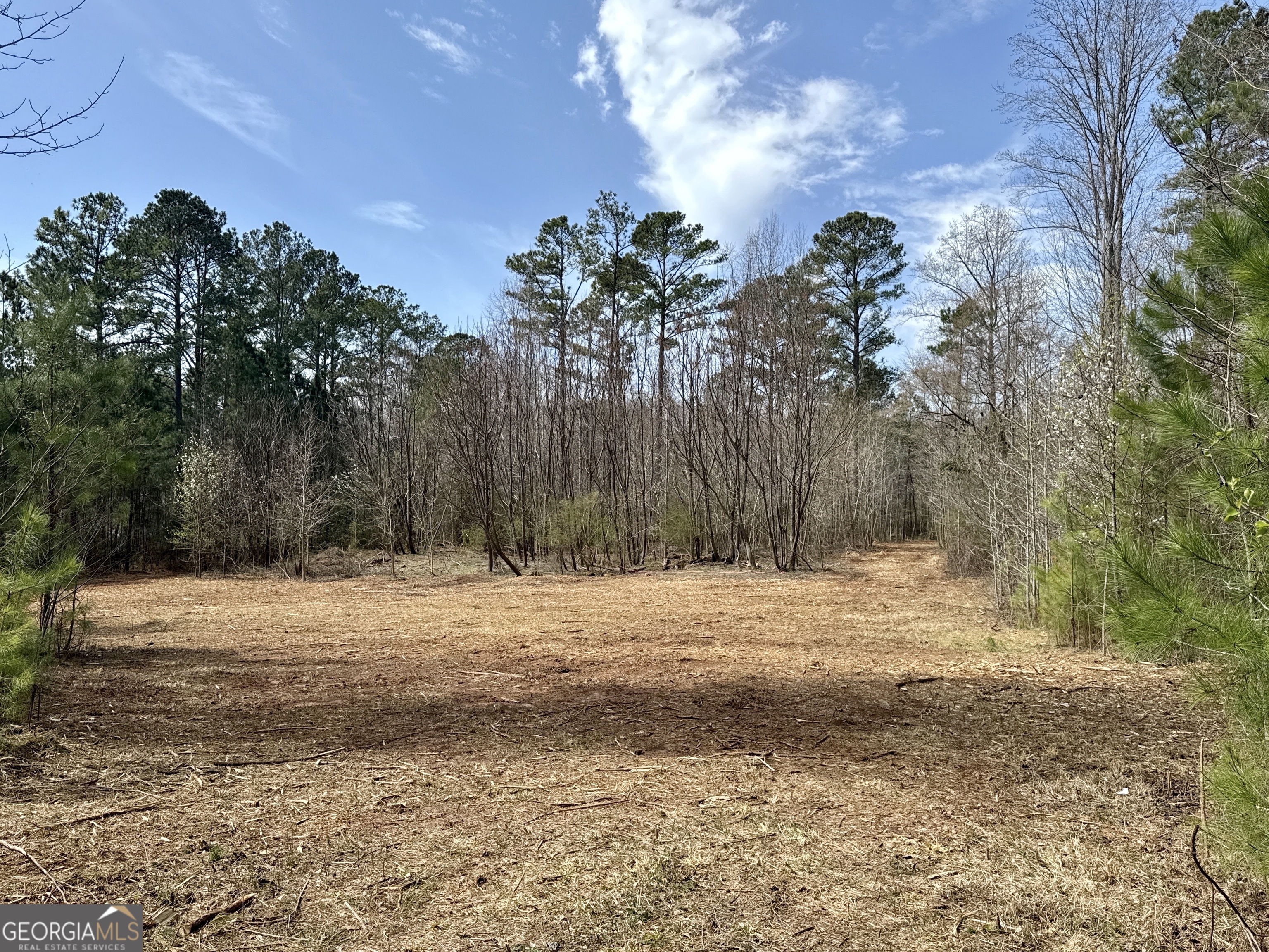 0 Inman Road - 29.5 Acres