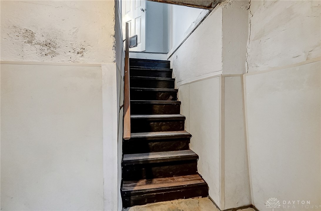 29 Lutz Avenue