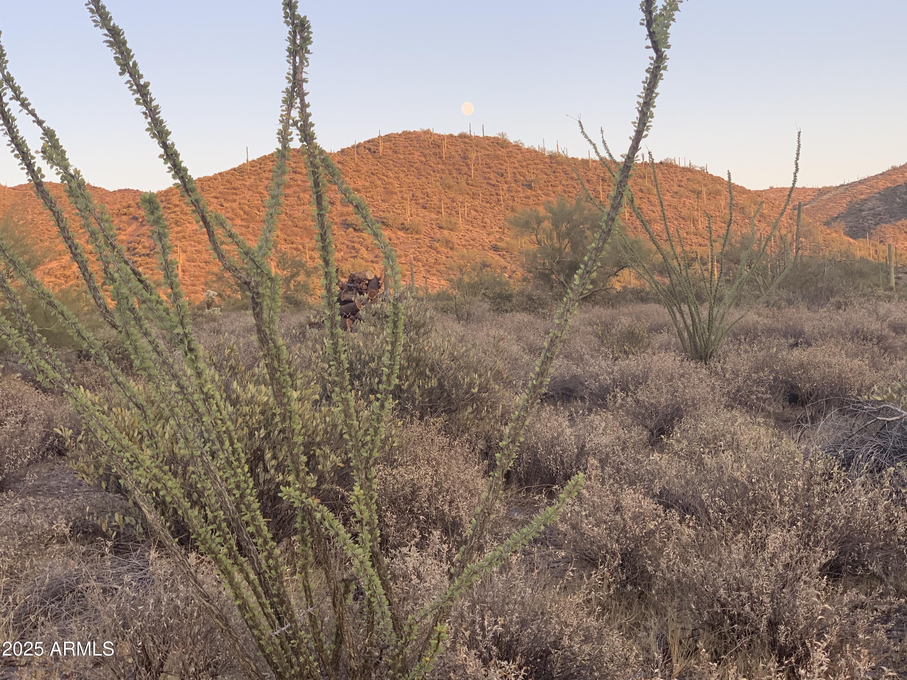 42000 N Fleming Springs Road, P