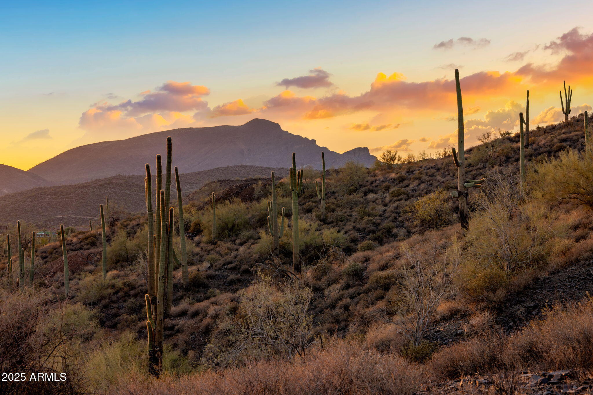 42000 N Fleming Springs Road, P