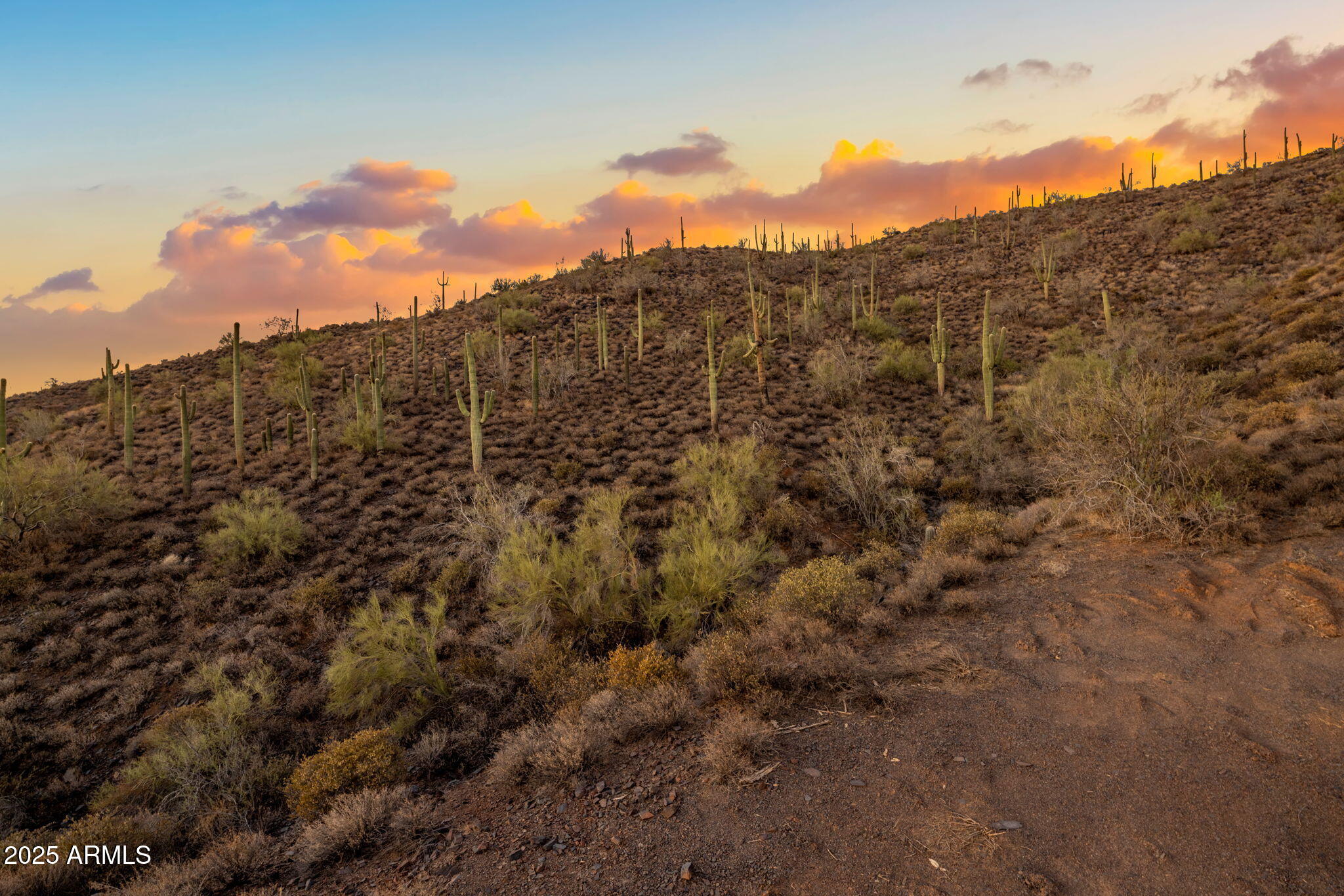 42000 N Fleming Springs Road, P