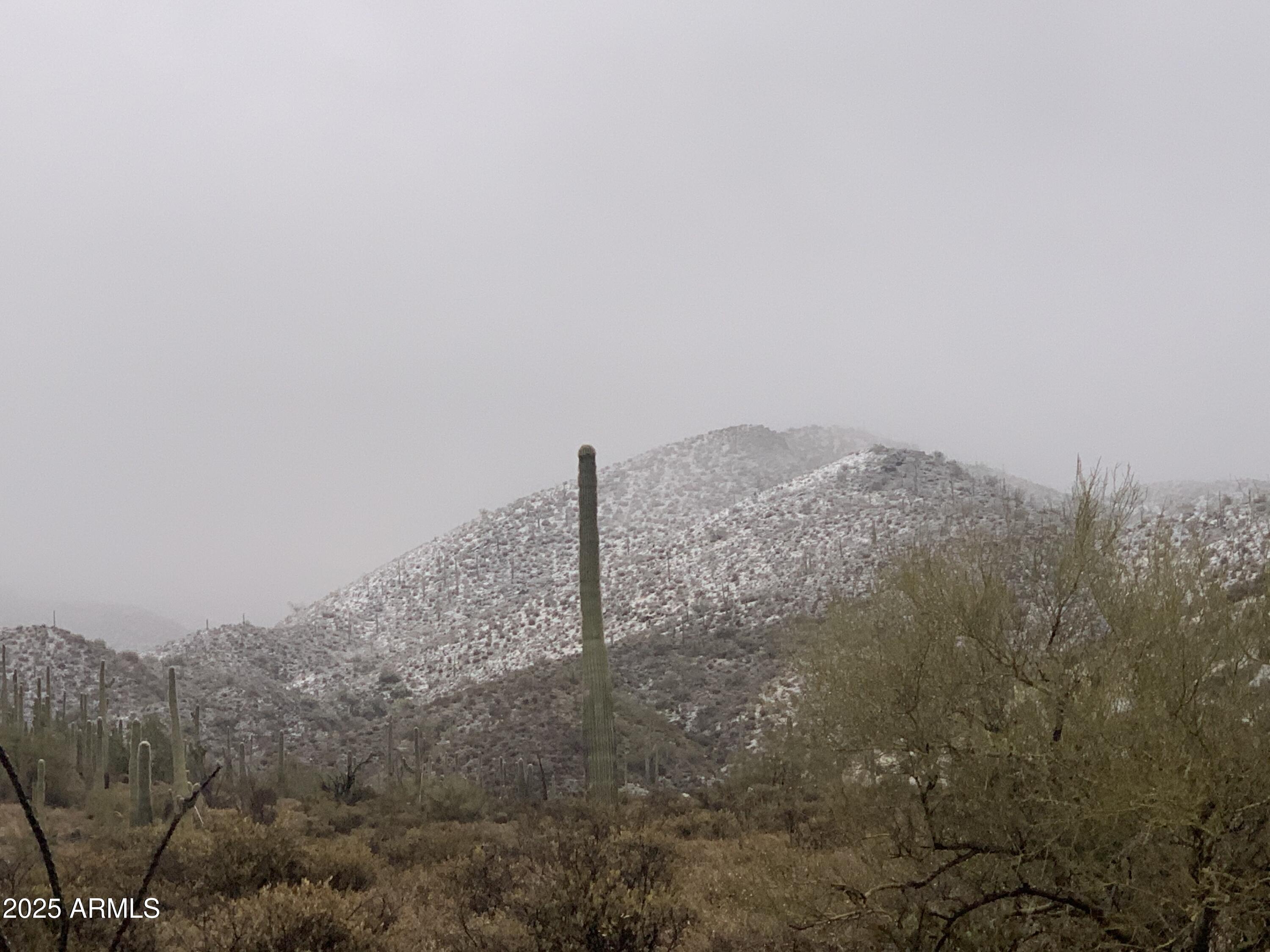 42000 N Fleming Springs Road, P