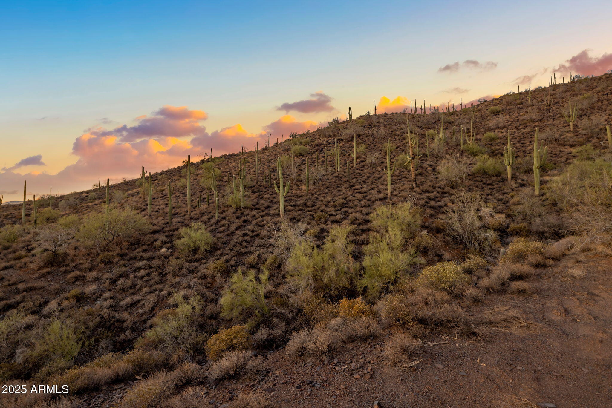 42000 N Fleming Springs Road, P