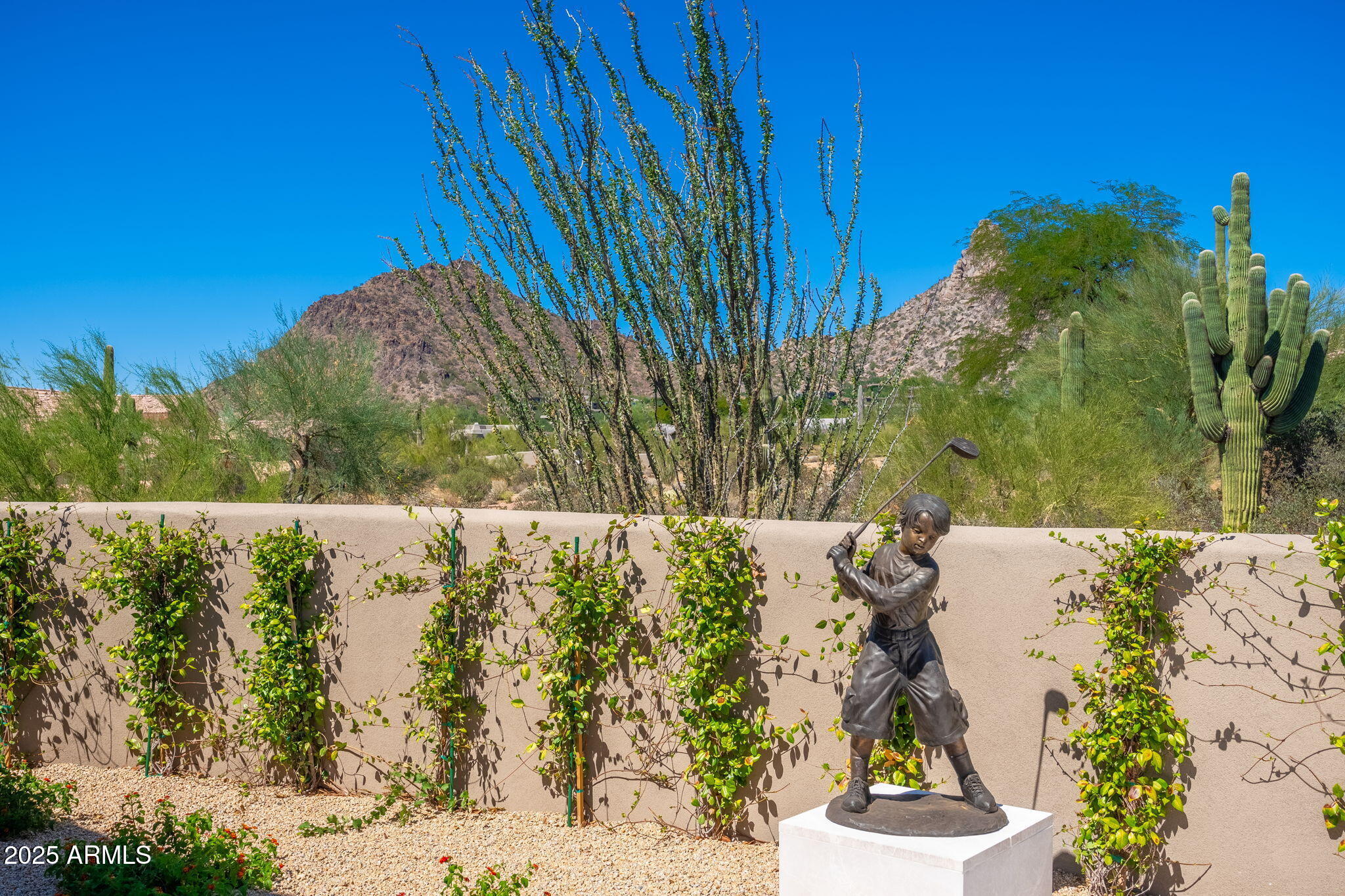 10160 E SADDLE HORN Trail