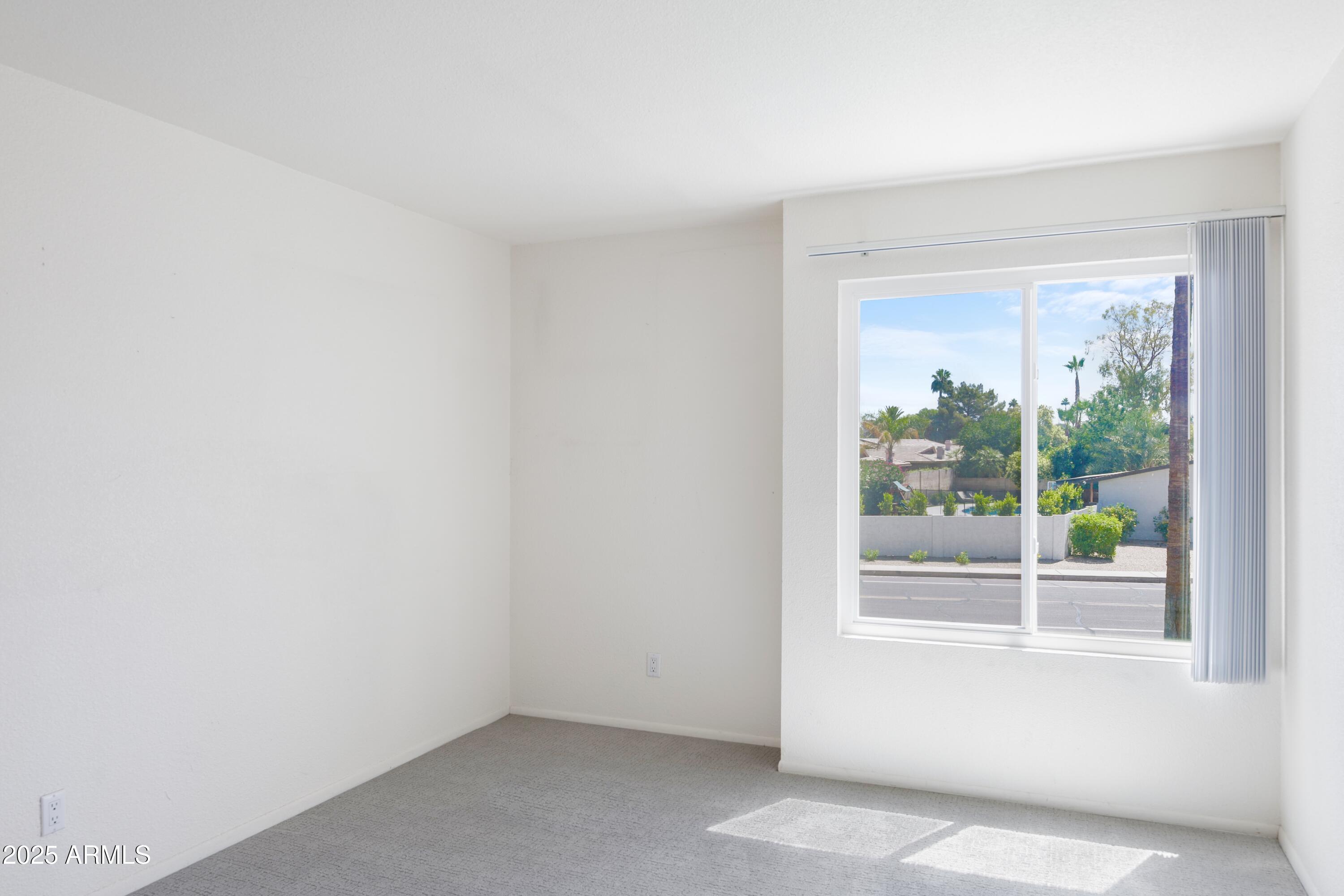 Empty carpeted room with a large window overlooking palm trees and greenery.