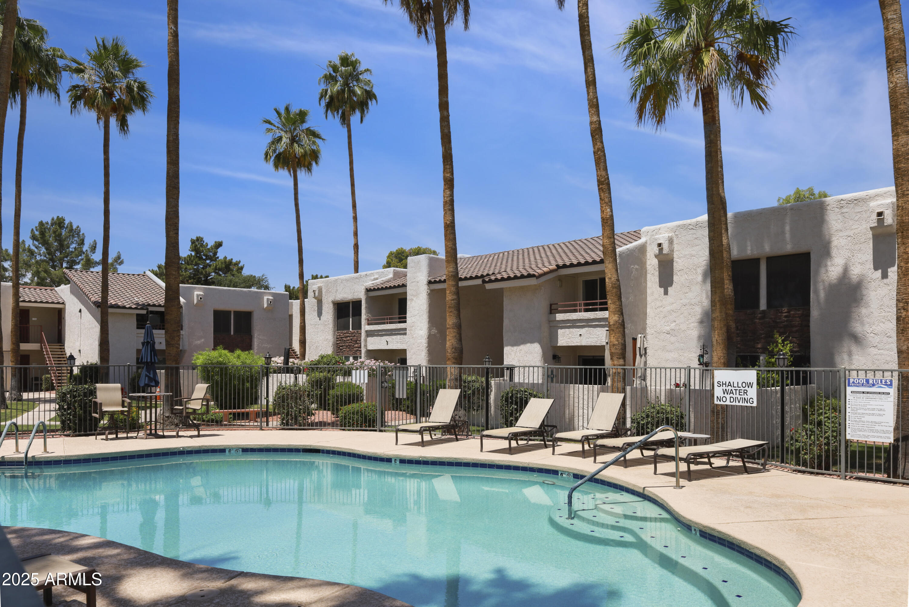 Condominium complex and curved swimming pool lined with lounge chairs and tall palm trees.