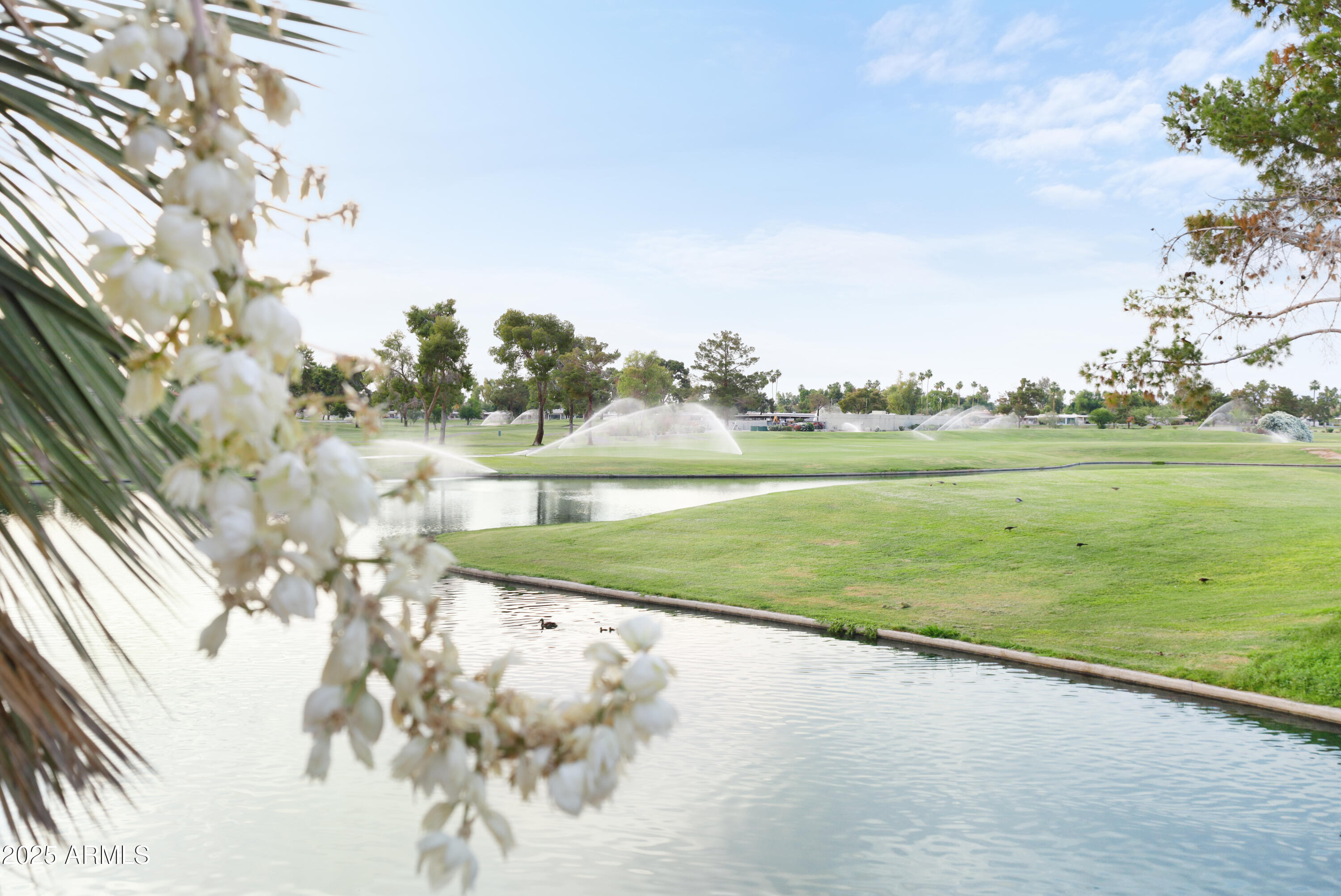Golf course and pond framed by white flowers and palm fronds.