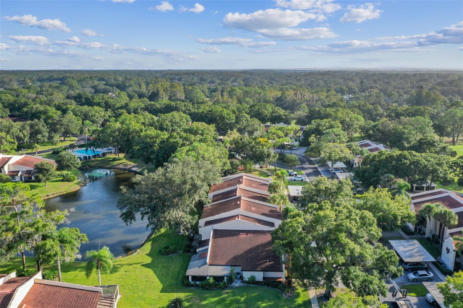 3505 TARPON WOODS BLVD #L406