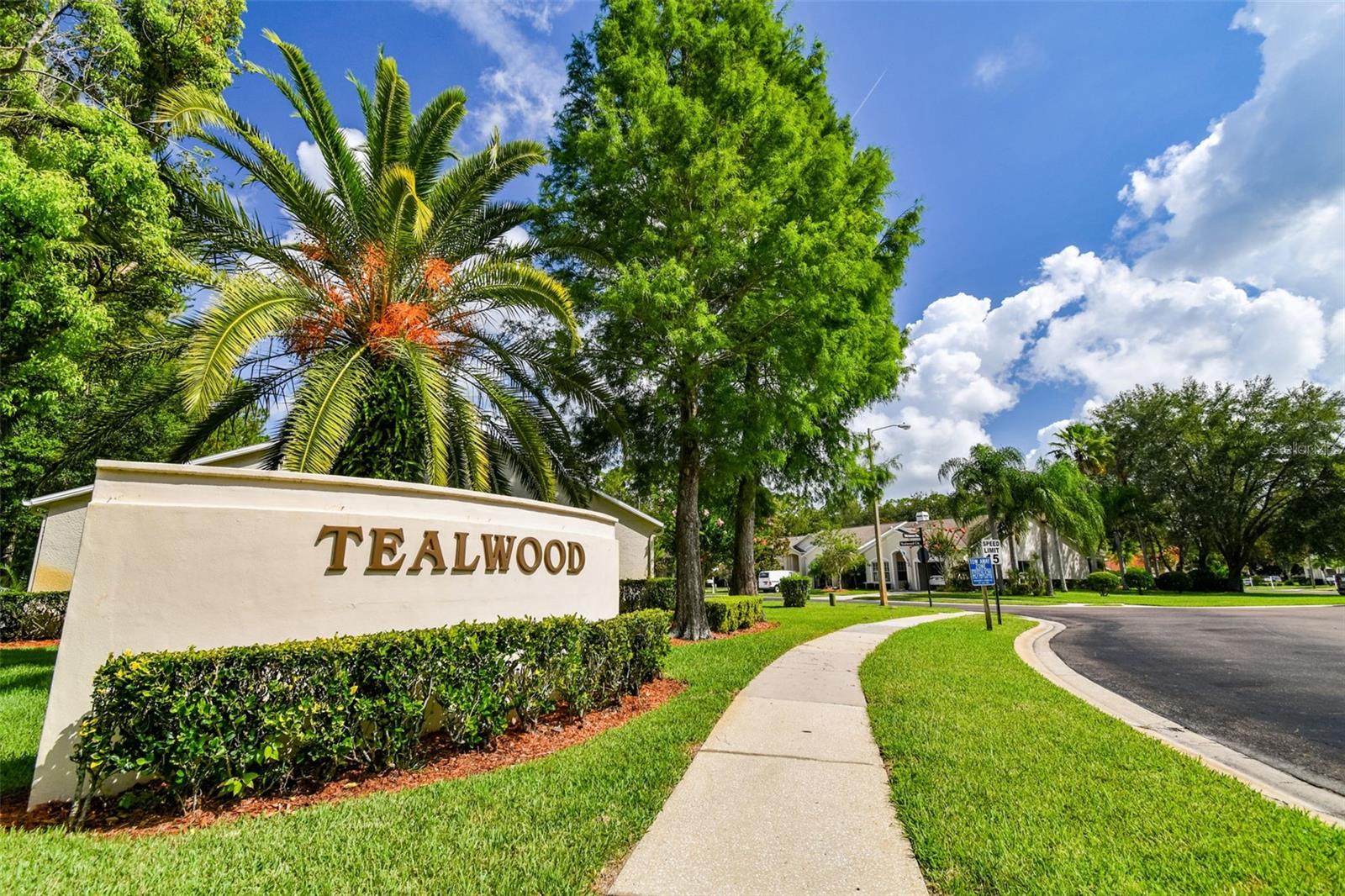 3513 TEALWOOD CIR