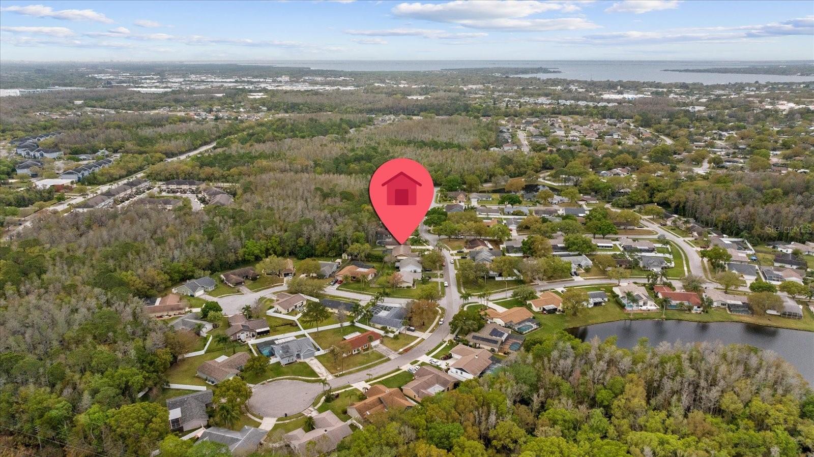 805 JACARANDA DR