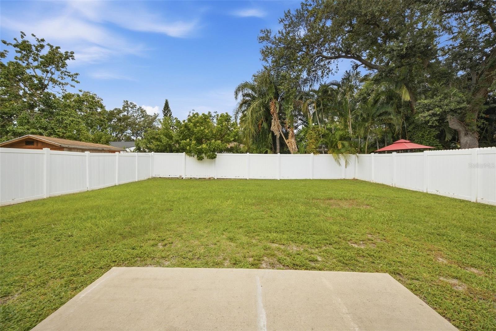 Grassy backyard with a white privacy fence, concrete patio, and mature tropical trees.