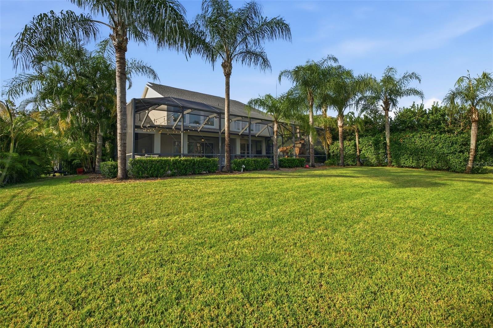 14637 CANOPY DR