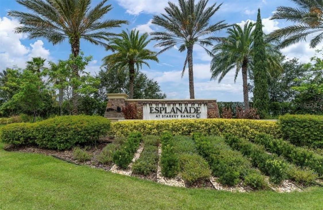 3134 FRANCOA DR