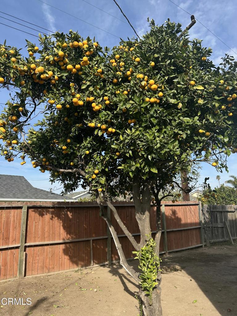 3621 San Juan Avenue