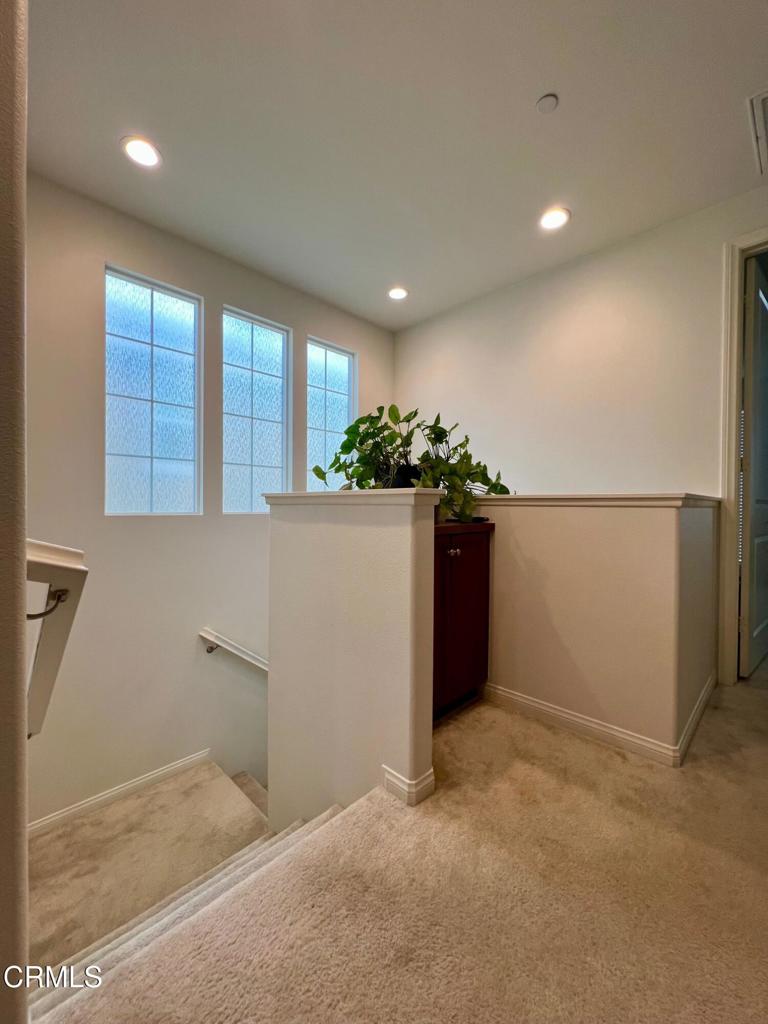 394 Water Lily Street