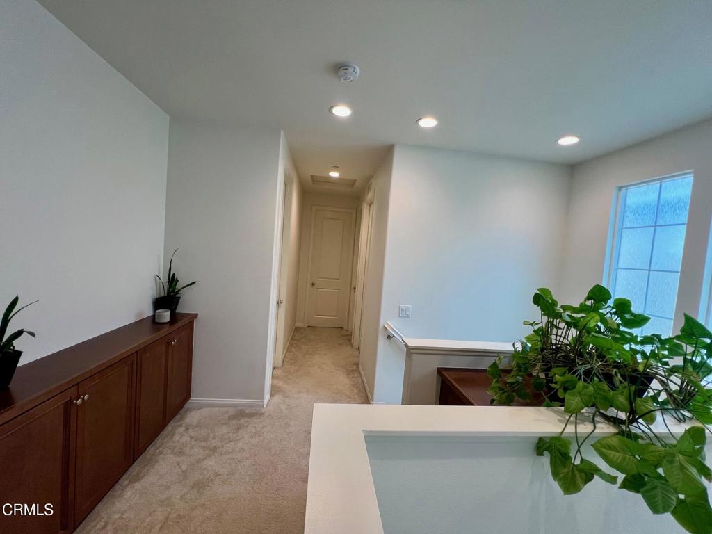 394 Water Lily Street