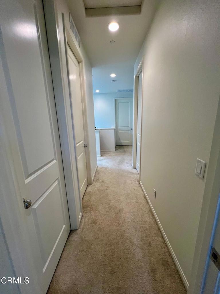 394 Water Lily Street