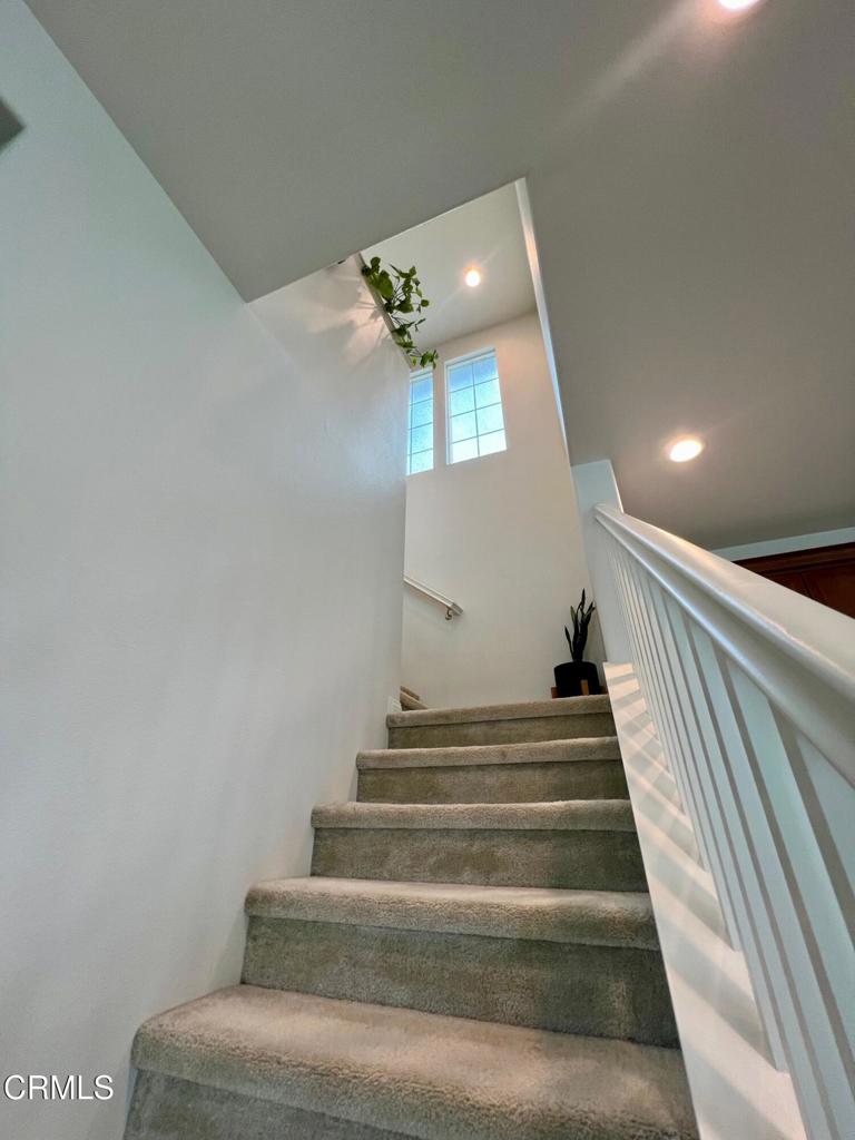 394 Water Lily Street