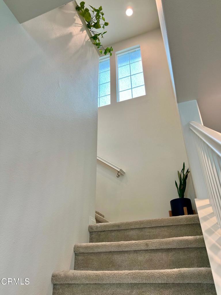 394 Water Lily Street