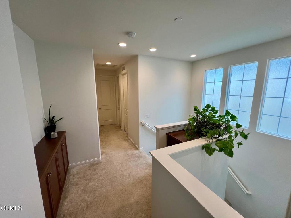 394 Water Lily Street