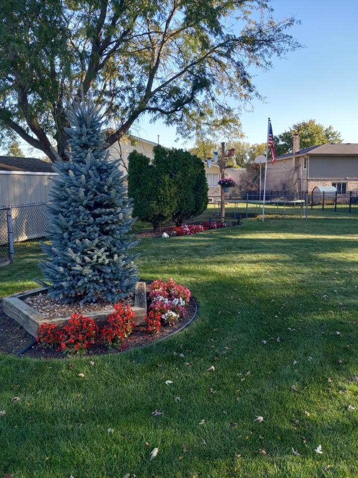 11591 Brook Hill Drive